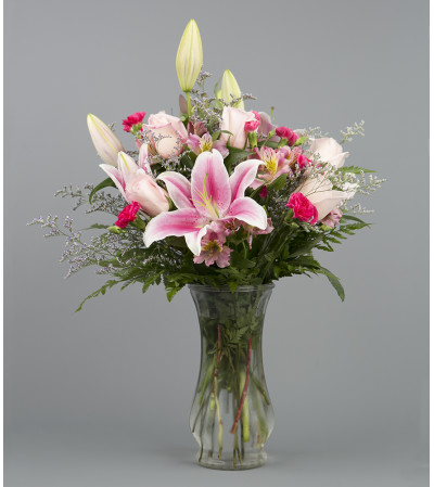 Stargazer Delight Stargazer Delight