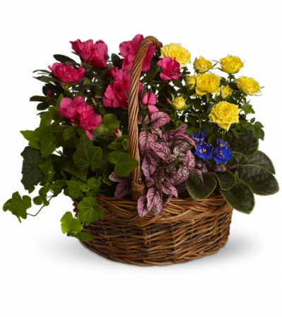 Blooming Garden Basket Blooming Garden Basket
