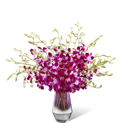 The FTD® Pink at Heart™ Orchid Bouquet The FTD® Pink at Heart™ Orchid Bouquet