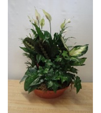 Earthly Planter Earthly Planter