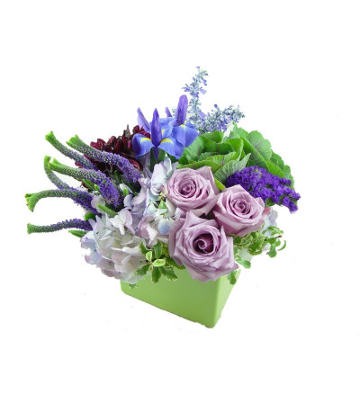 She loves Purple She loves Purple