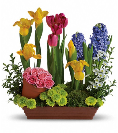 Spring Favorites Spring Favorites