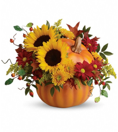Teleflora's Pretty Pumpkin Bouquet Teleflora's Pretty Pumpkin Bouquet