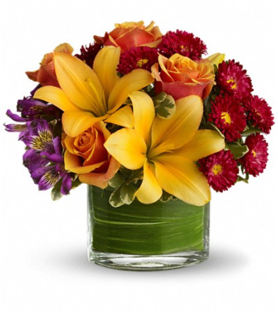 Teleflora's Blossoms of Joy Teleflora's Blossoms of Joy