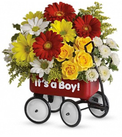 Baby's Wow Wagon - Boy Baby's Wow Wagon - Boy
