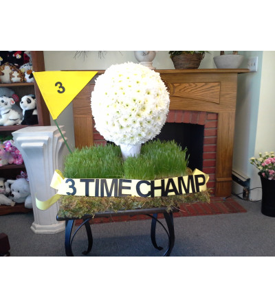 Golf Ball Novelty Arrangement Golf Ball Novelty Arrangement