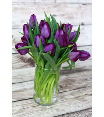 Purple Tulips Purple Tulips