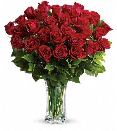 Love and Devotion - Long Stemmed Red Roses Love and Devotion - Long Stemmed Red Roses