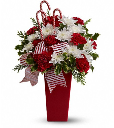 Peppermint Posies Peppermint Posies