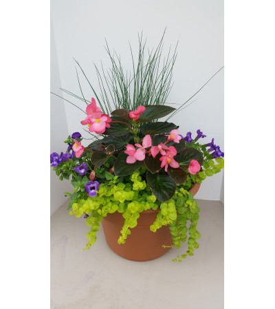 Patio Pot for Shade Patio Pot for Shade