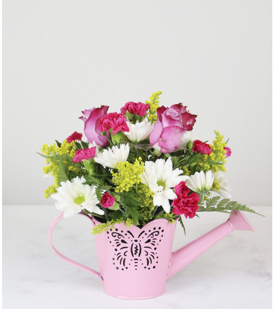 May Flowers May Flowers