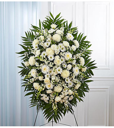 White Sympathy Standing Spray White Sympathy Standing Spray