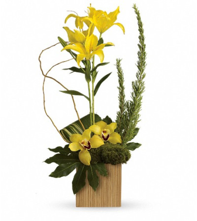 Teleflora's Bamboo Tropics Teleflora's Bamboo Tropics