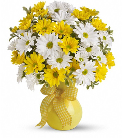 Teleflora's Upsy Daisy Teleflora's Upsy Daisy