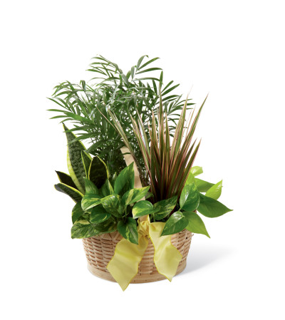 The FTD® French Garden™ The FTD® French Garden™