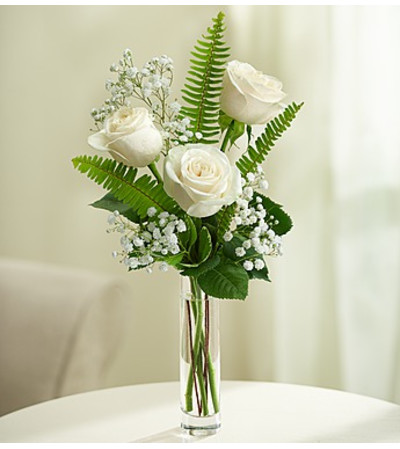 Love’s Embrace™ Roses – White Love’s Embrace™ Roses – White