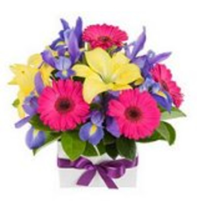 the Aubrey Bouquet the Aubrey Bouquet