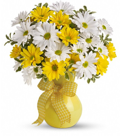 Teleflora's Upsy Daisy Teleflora's Upsy Daisy