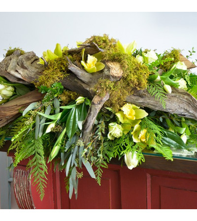 Driftwood and Moss Driftwood and Moss
