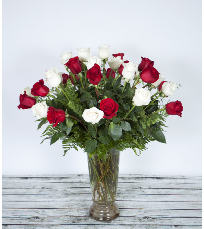 The Charm of a Rose The Charm of a Rose