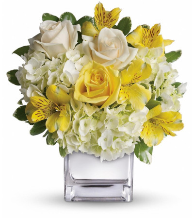 DELIGHTFUL BOUQUET DELIGHTFUL BOUQUET
