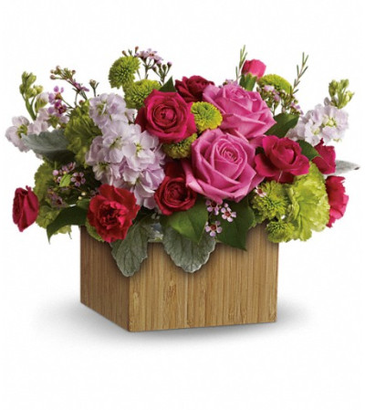 Teleflora's Garden Delights Teleflora's Garden Delights