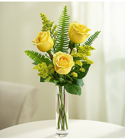 Love’s Embrace™ Roses – Yellow Love’s Embrace™ Roses – Yellow