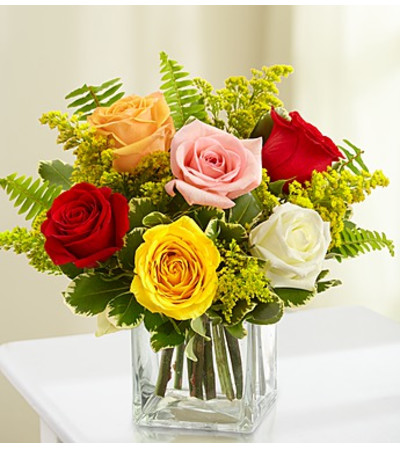 Love’s Embrace™ Roses - Assorted Love’s Embrace™ Roses - Assorted