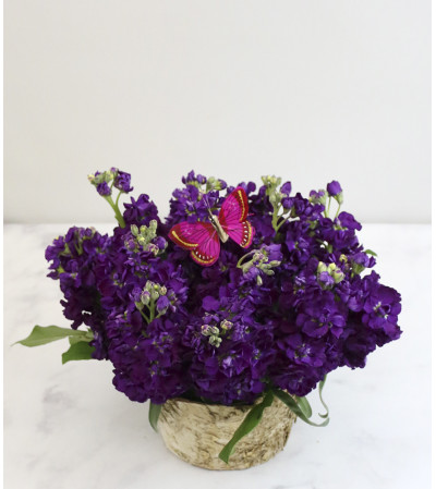 Rustic Purple Passion Rustic Purple Passion