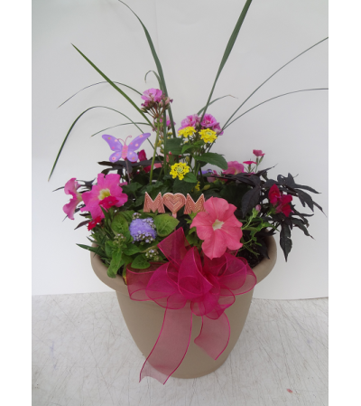 Summer Sun Patio Pot! Summer Sun Patio Pot!