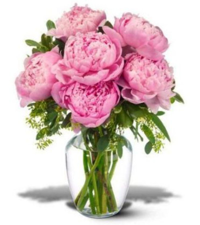 Pretty Pink Peonies Pretty Pink Peonies