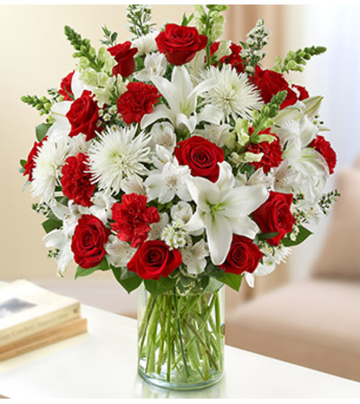 Sincerest Sorrow - Red and White Sincerest Sorrow - Red and White