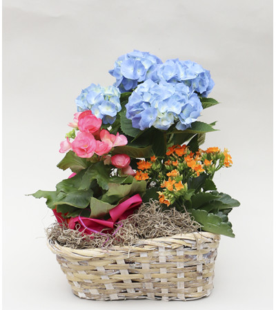 Peter's Spring Garden Basket Peter's Spring Garden Basket