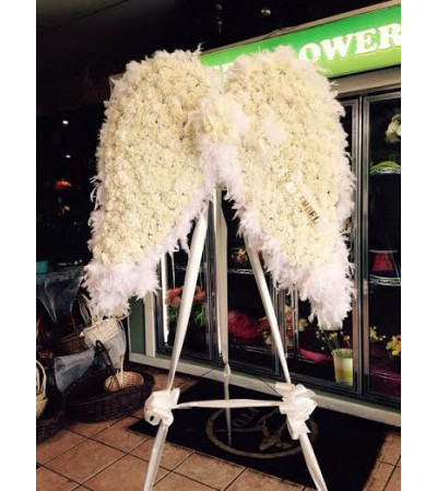 Angel Wings Angel Wings
