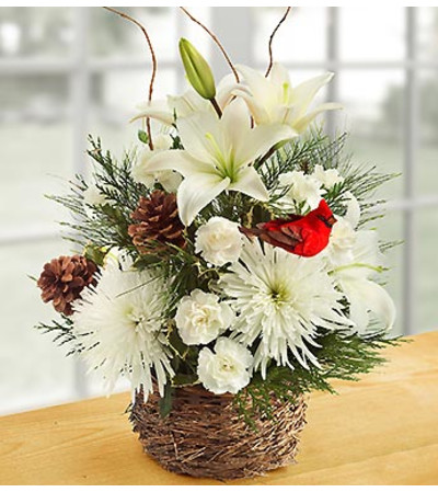 Wintertime Birds Nest of Flowers Wintertime Birds Nest of Flowers