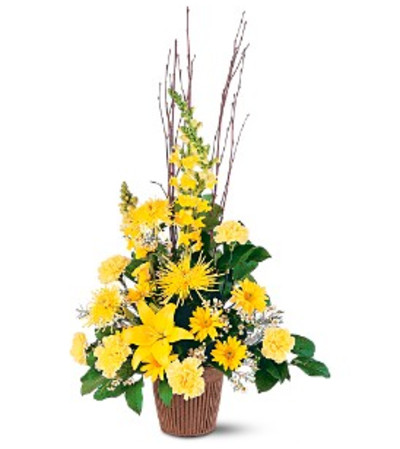 Brighter Blessings Arrangement Brighter Blessings Arrangement