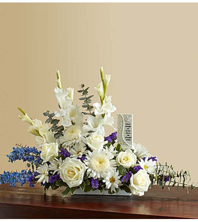 Beautiful Memories - Blue and White Beautiful Memories - Blue and White