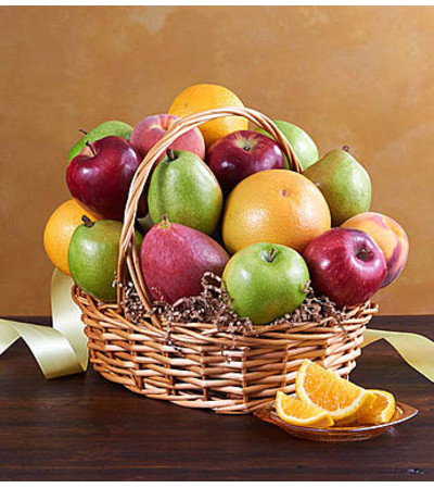 All Fruit Basket All Fruit Basket
