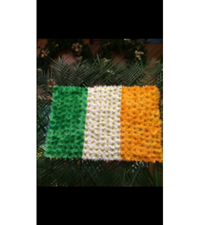 Irish Flag. Irish Flag.