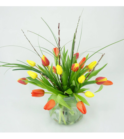 Tempting Tulips Tempting Tulips