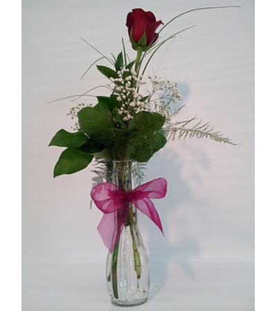 Red Rose Bud Vase Red Rose Bud Vase