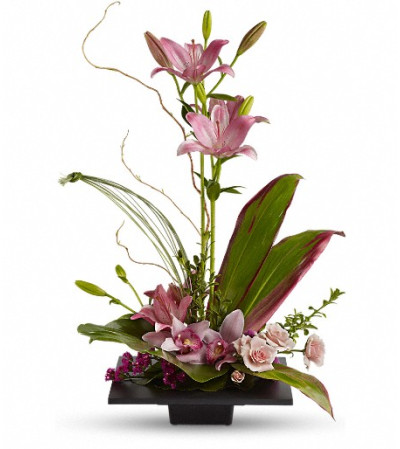 Imagination Blooms with Cymbidium Orchid Imagination Blooms with Cymbidium Orchid