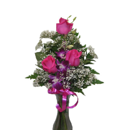 Pretty Pink and purple Pretty Pink and purple