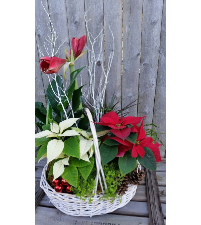 Christmas Planter Christmas Planter