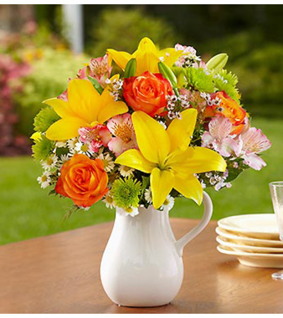 Fields of Europe™ in White Ceramic Pitcher Fields of Europe™ in White Ceramic Pitcher