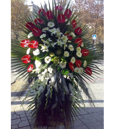 ANTHURIUM STANDING SPRAY ANTHURIUM STANDING SPRAY