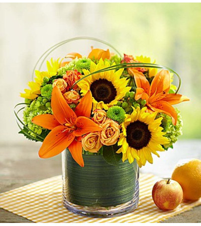 Sunburst Bouquet Sunburst Bouquet