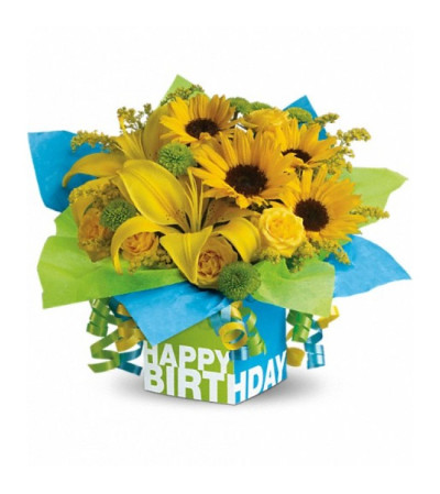 Sunny Birthday Present Sunny Birthday Present