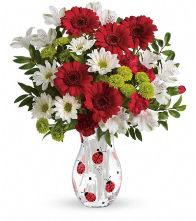 Teleflora's Lovely Ladybug Bouquet Teleflora's Lovely Ladybug Bouquet