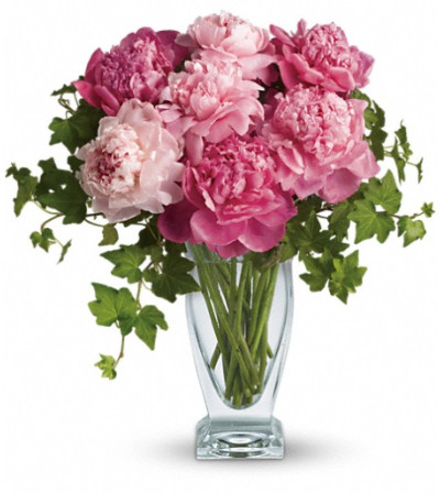 Teleflora's Perfect Peonies Teleflora's Perfect Peonies